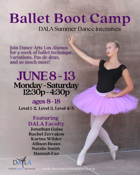 DALA Ballet Boot Camp